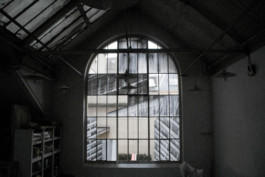 Windows, 2014 