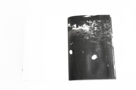 948-949 -L1, 2011 